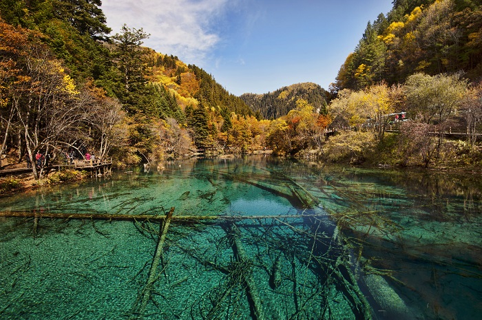 Hồ Ngũ Hoa trong Vườn quốc gia Cửu Trại Câu - Nơi có nước xanh nhất thế giới