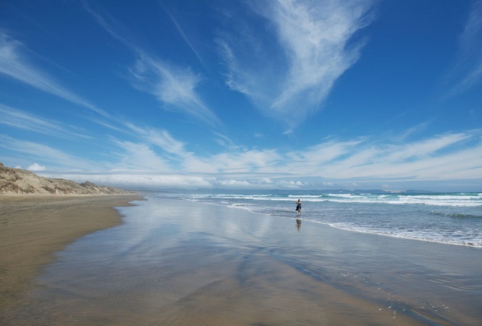 Bãi biển Ninety Mile - Những bãi biển đẹp ở đảo Bắc New Zealand