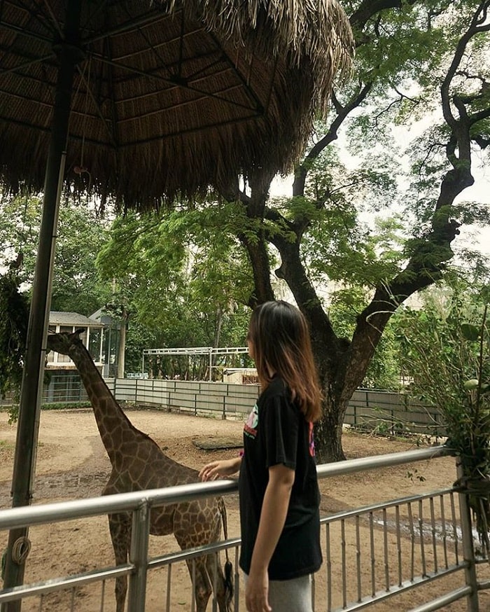 Vui chơi với các loài thú tại Thảo Cầm Viên Sài Gòn 