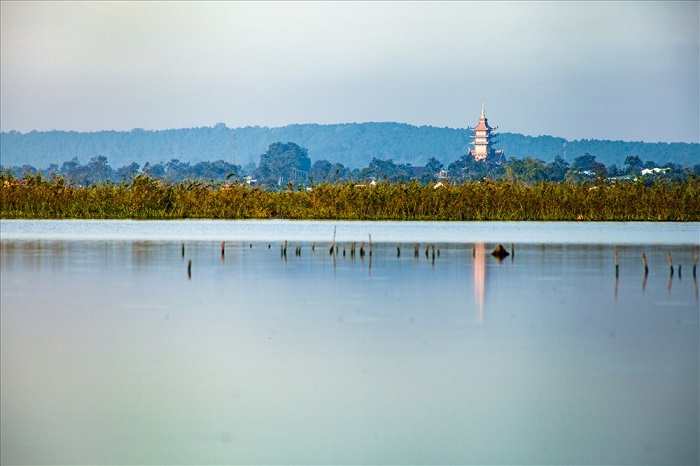 Location of Buu Minh Gia Lai pagoda