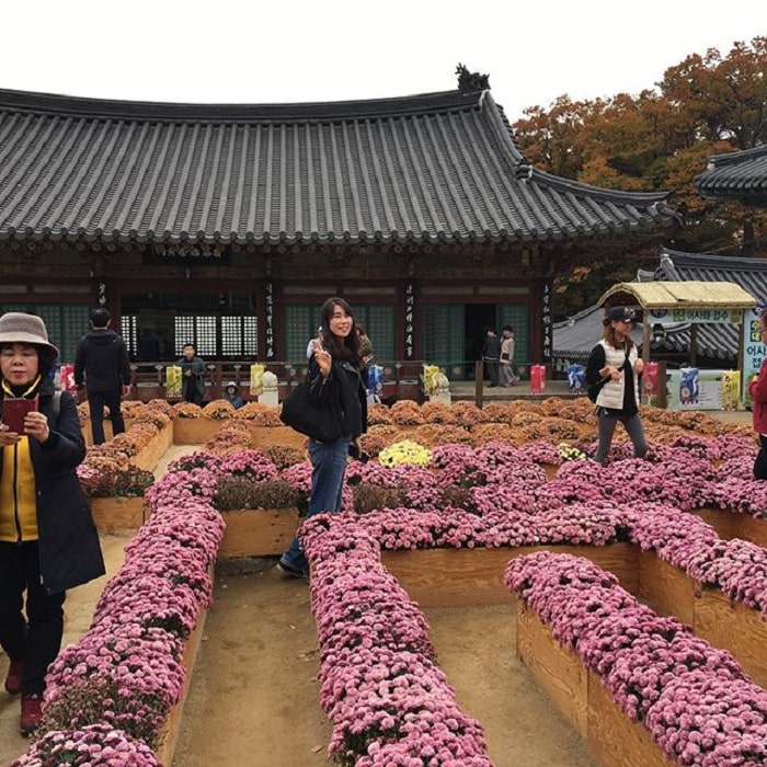 điểm tham quan nổi tiếng ở Daegu - đền Donghwasa