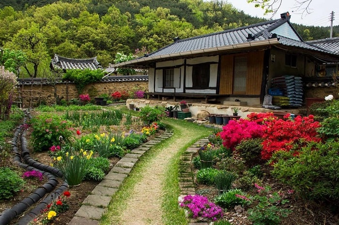 làng Otgol cổ kính - điểm tham quan nổi tiếng ở Daegu 