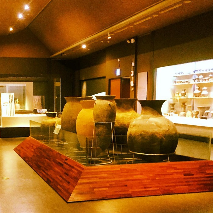 khám phá bảo tàng Quốc gia - điểm tham quan nổi tiếng ở Daegu 