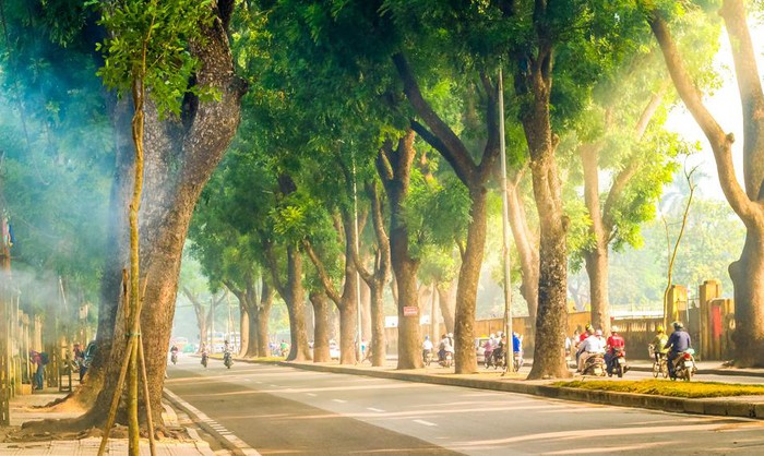 The most beautiful roads in autumn in Hanoi - Hoang Dieu street