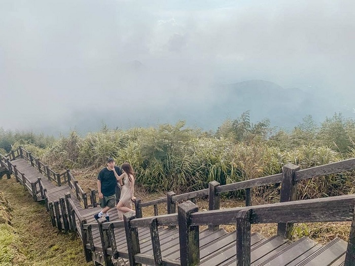 núi A Lý Đài Loan - con đường gỗ xuyên rừng
