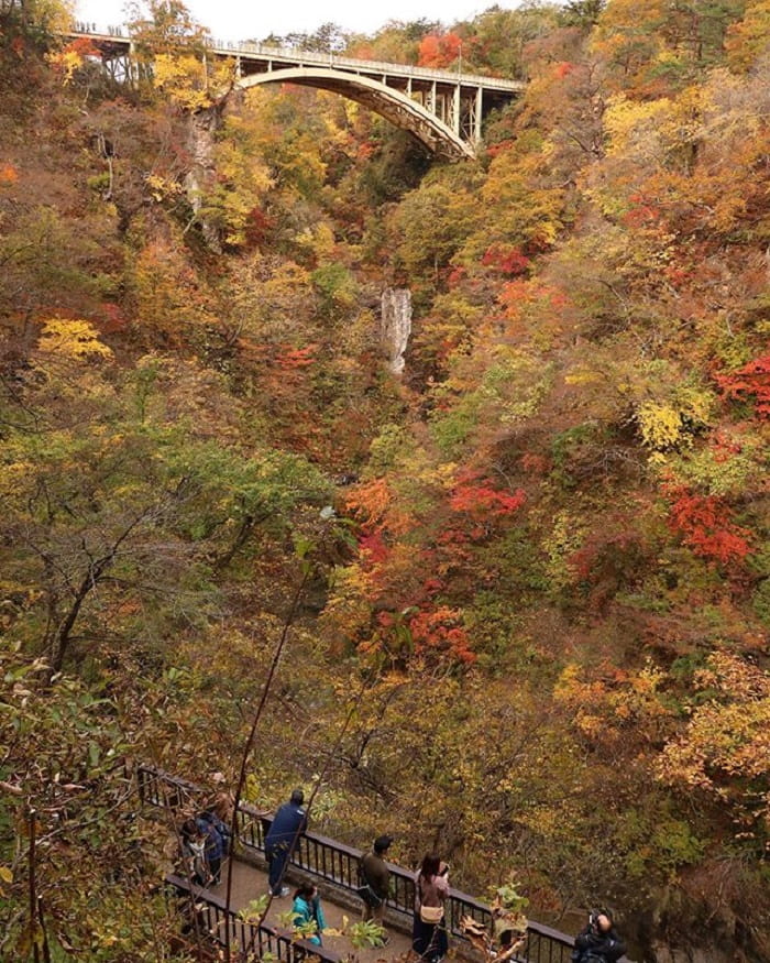 ngắm sắc lá vàng rực - hẻm núi Naruko Gorge Nhật Bản