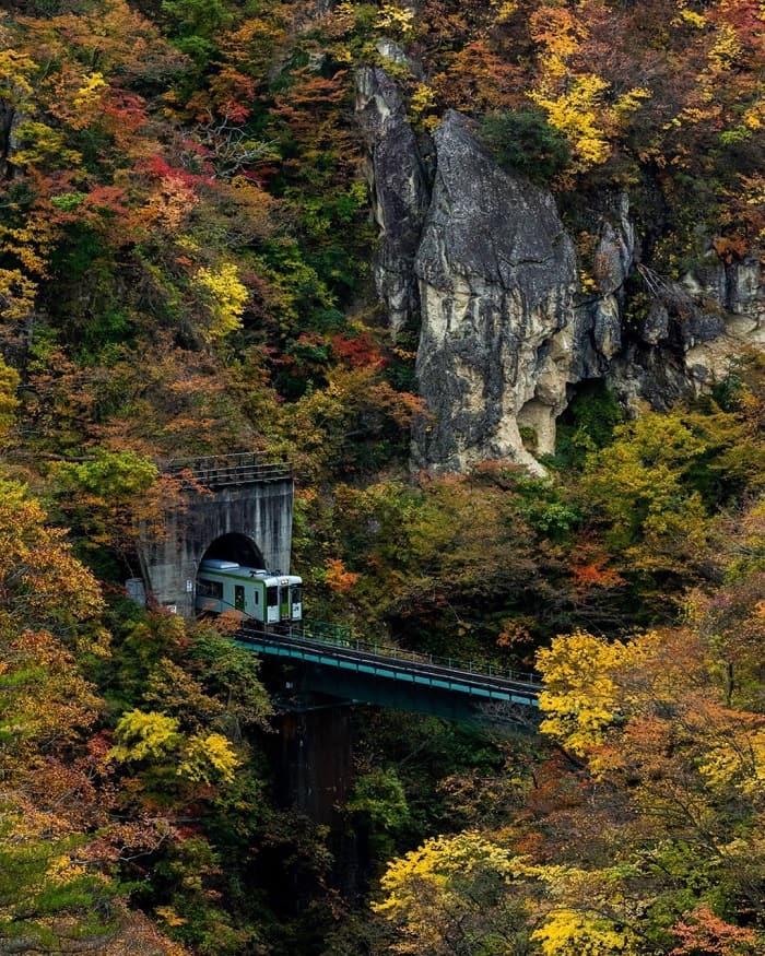 đoàn tàu chạy qua cây cầu - hẻm núi Naruko Gorge Nhật Bản