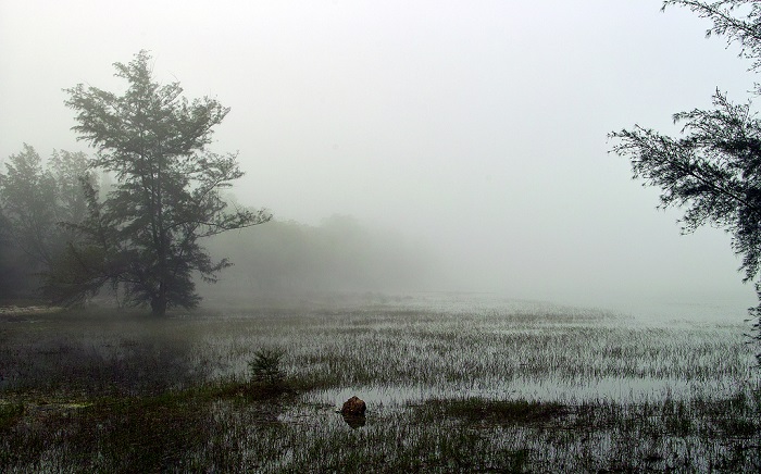 Hồ Bàu Tró trong sương