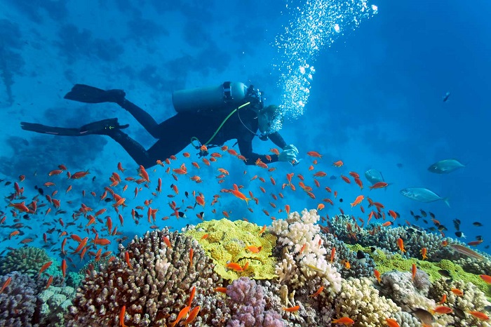 Experience scuba diving in Nha Trang - Monkey Island 