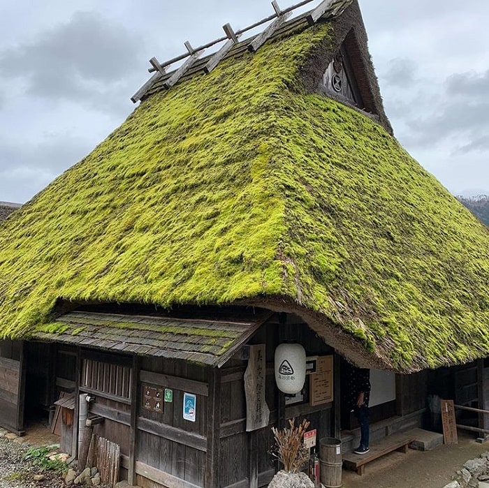 làng Miyama Kayabuki - nhà làm bằng mái tranh