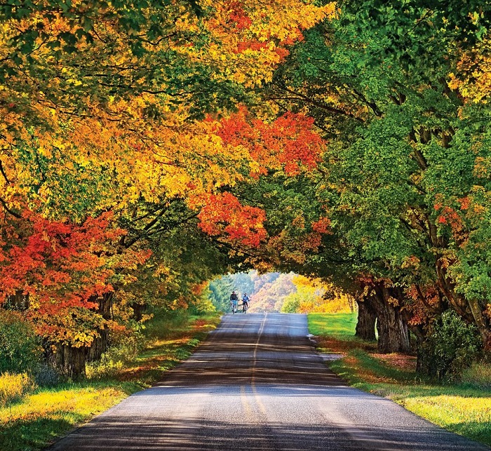 khung cảnh mùa thu nước Mỹ ở Michigan-1