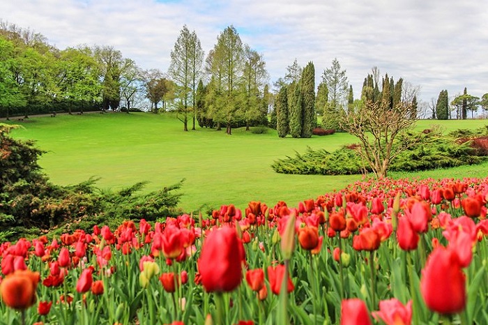 Parco Giardino Sigurtà - những khu vườn đẹp nhất ở Ý