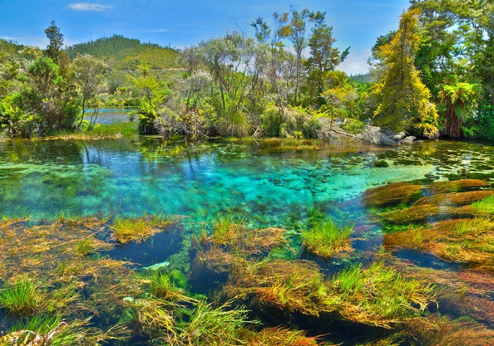  Hồ Xanh Nelsons - Nơi có nước xanh nhất thế giới