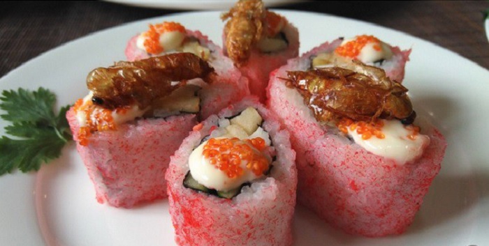sushi gián - món ăn rùng rợn ngang với snack gián sấy khô