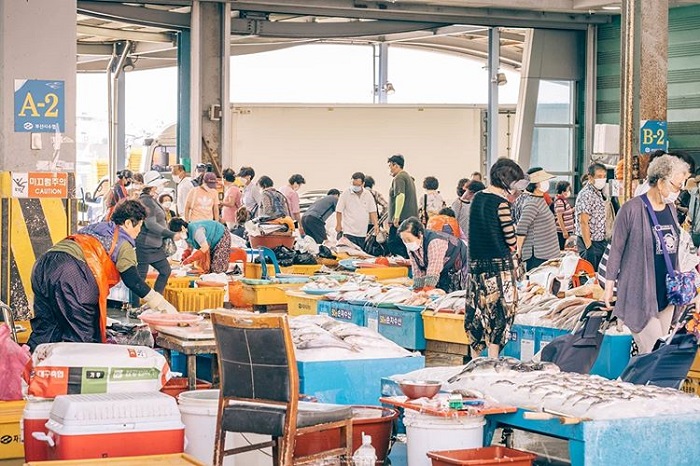 thăm chợ cá Jagalchi - trải nghiệm ở Busan