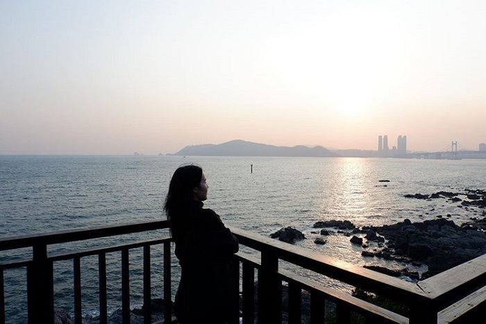 đến đảo Dongbaekseom - trải nghiệm ở Busan