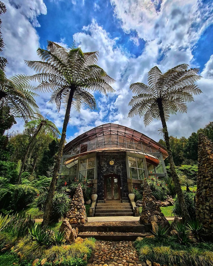 Nhà kính cây xương rồng - Tham quan vườn bách thảo Bali Indonesia