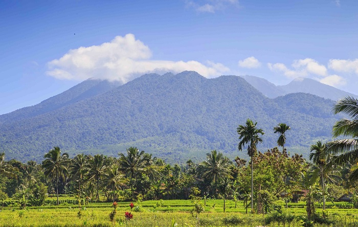 du lịch Tây Java - Vườn quốc gia Halimun-Salak 