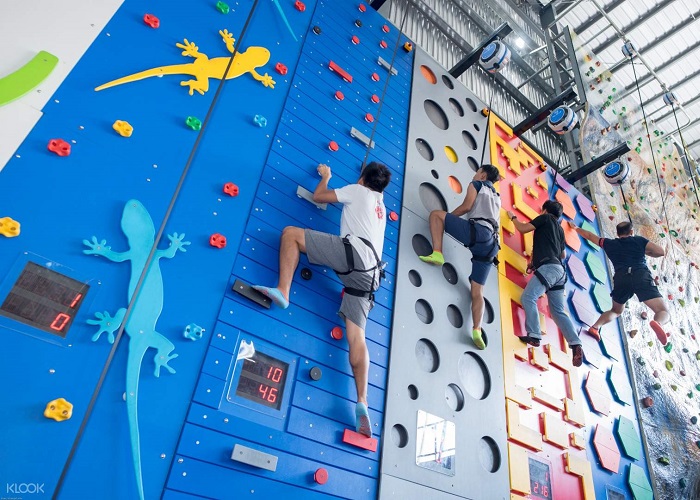 Artificial climbing sites in Saigon - MMA Gym Fitness climbing