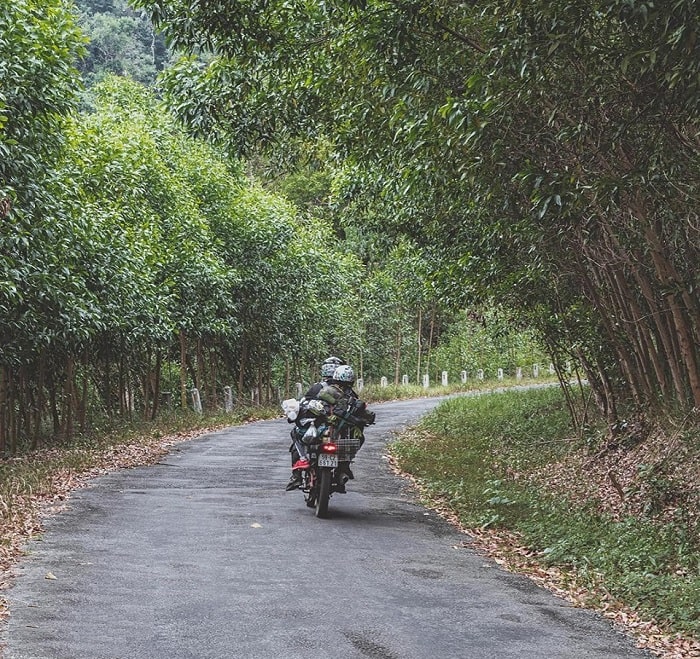 The way to Nha Trang Stone Spring 
