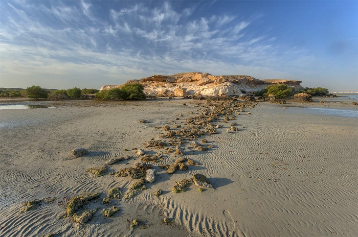 Đảo Tím là nơi hoàn hảo cho những người yêu thiên nhiên - Đảo Purple ở Qatar