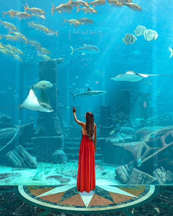 công viên nước Dubai Atlantis - Thủy cung Lost Chambers