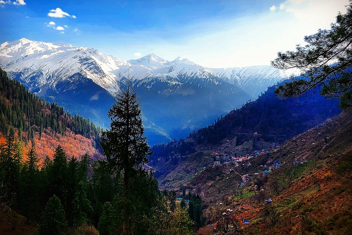 Làng Chalaal ở Himachal Pradesh - du lịch Himachal Pradesh