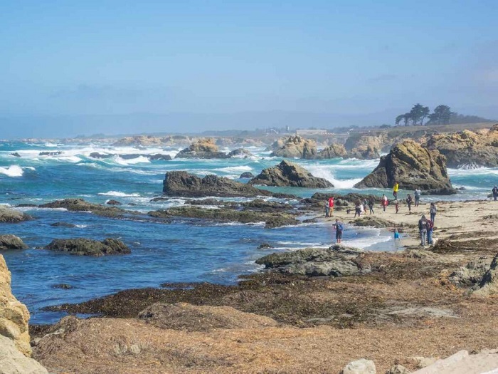 Đường bờ biển gồ ghề trong công viên - bãi biển thủy tinh California