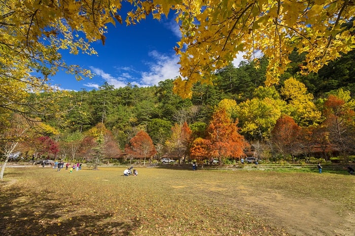 Trang trại Wuling - điểm ngắm lá phong ở Đài Loan nổi tiếng