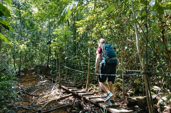 Hành trình khám phá công viên quốc gia Ulu Temburon