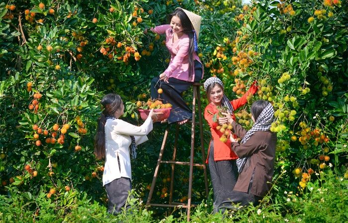 Khám phá vườn cây ăn quả ở Cù lao An Bình