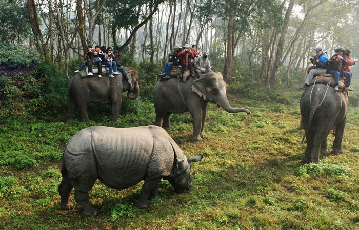 Các trải nghiệm tuyệt vời ở vườn quốc gia Chitwan 