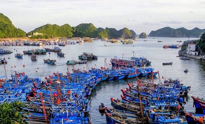 Cat Ba tourism in October - visit the fishing port