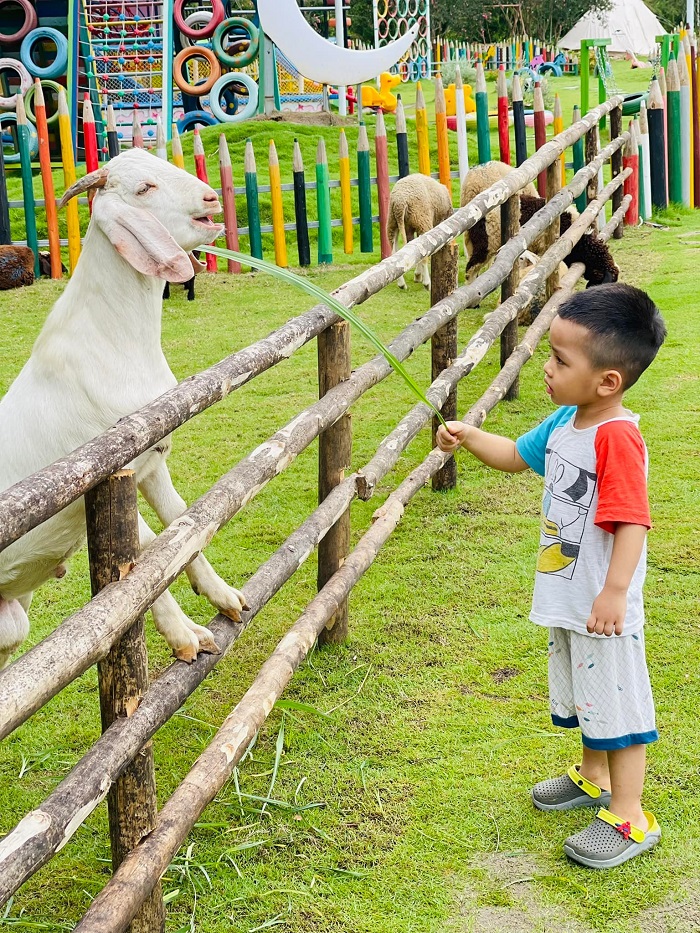 Happy Farm Lào Cai xanh mát, trong lành và có nhiều hoạt động hấp dẫn