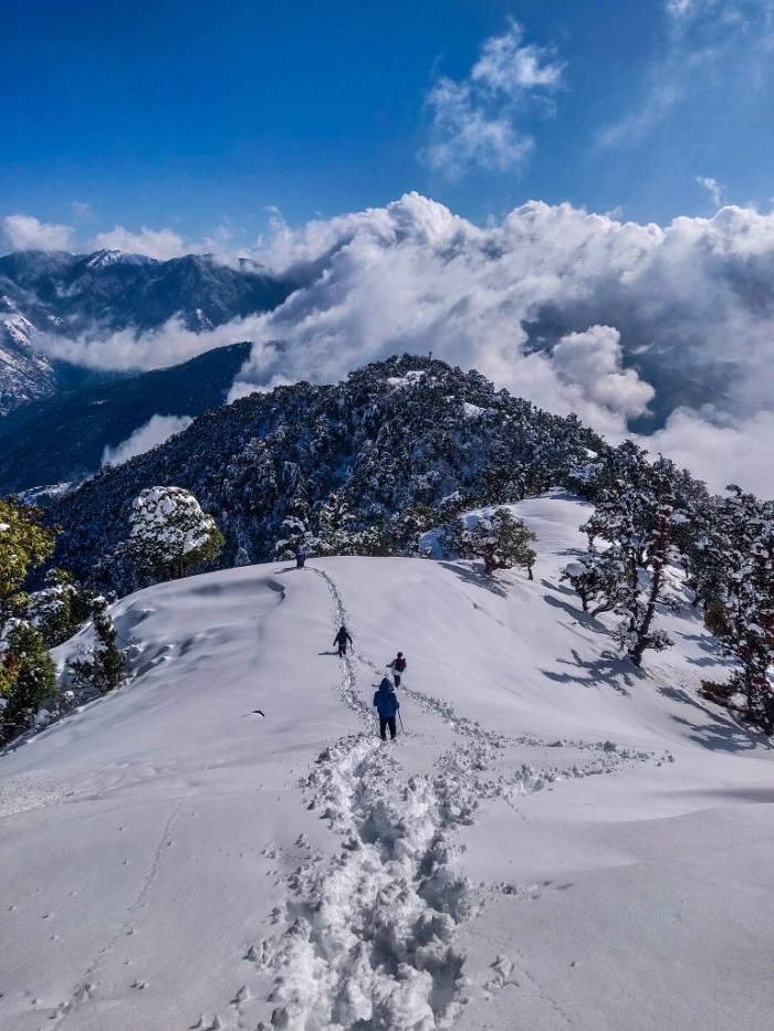 Hoạt động trượt tuyết ở Shimla - du lịch Himachal Pradesh