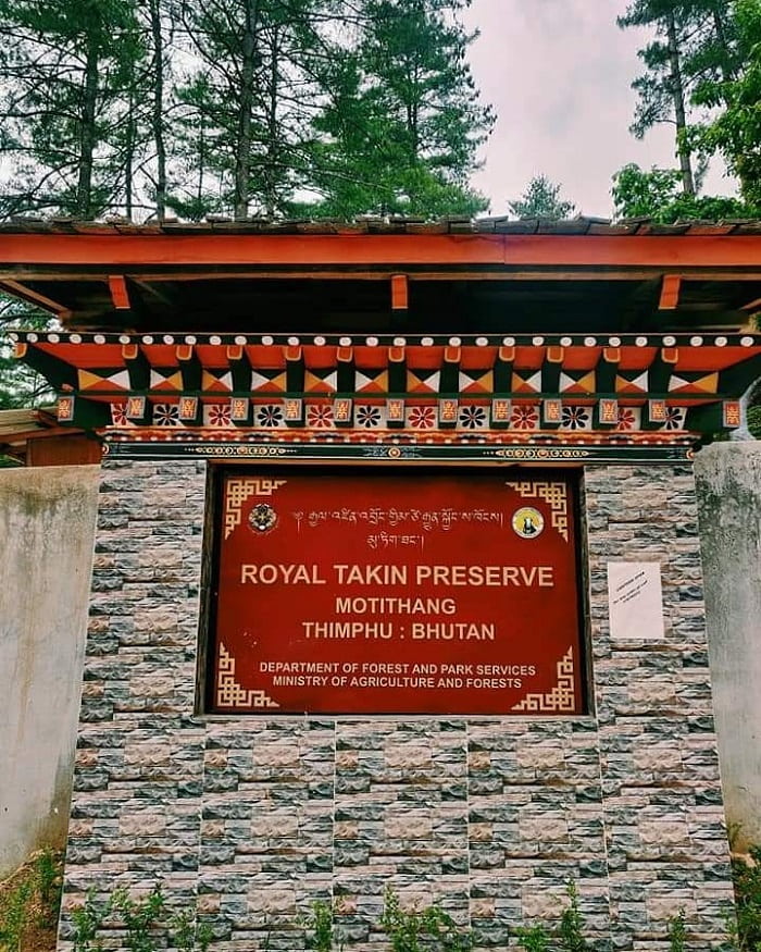 Giới thiệu về khu bảo tồn Motithang Takin Bhutan