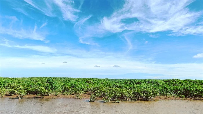 kinh nghiệm du lịch Nam Định - Vườn Quốc gia Xuân Thuỷ