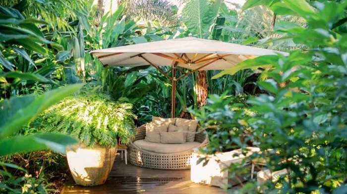 Bên trong khu vườn nhiêt đới của Sensei Lanai, A Four Seasons Resort - khu nghỉ dưỡng đẹp nhất ở Hawaii