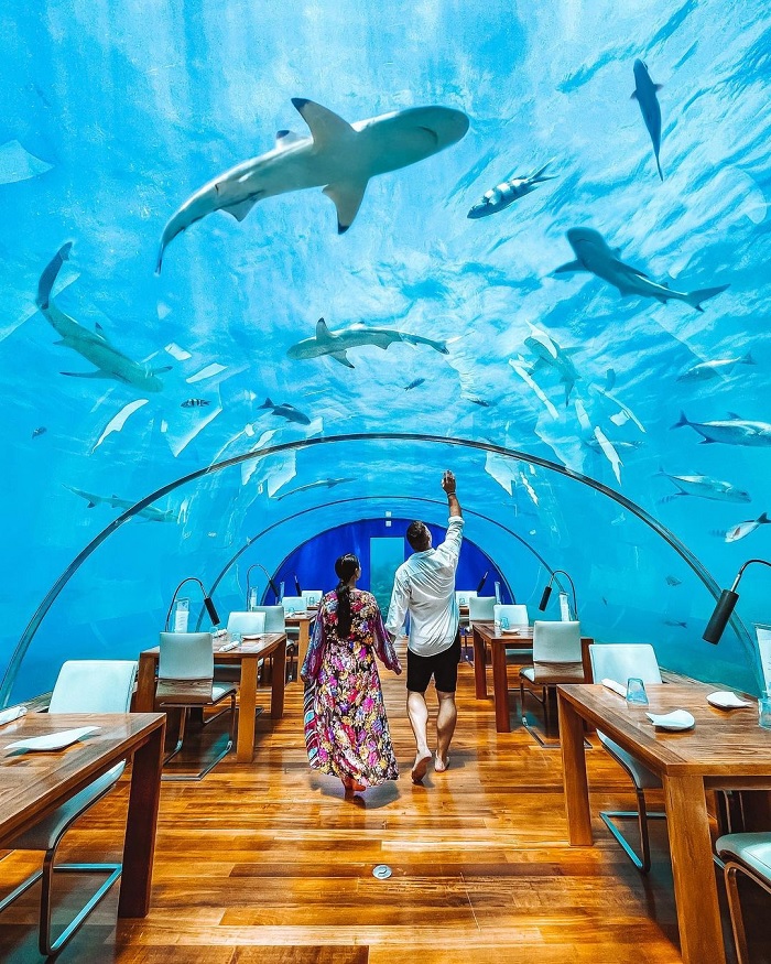 Nhà hàng Ithaa Undersea - nhà hàng độc đáo nhất thế giới