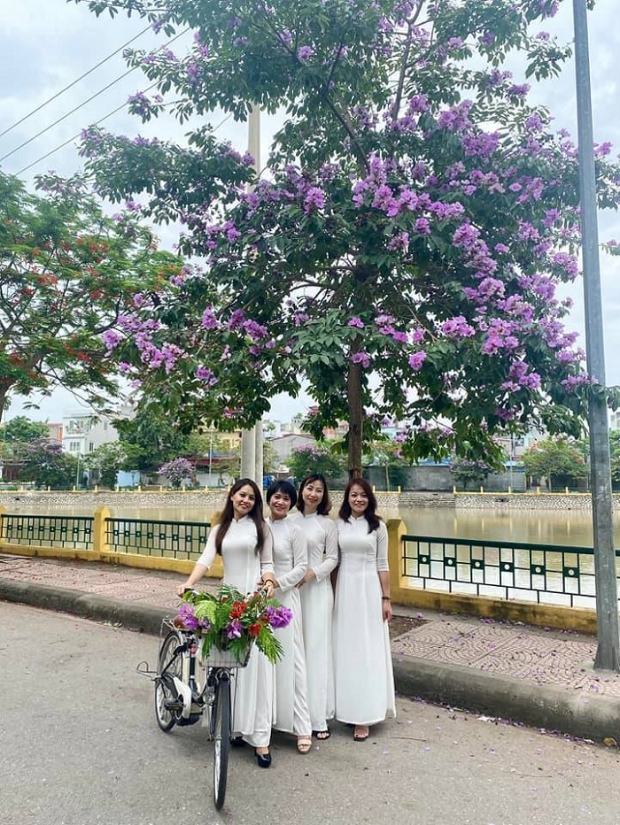 Mùa hoa bằng lăng là mùa hoa tím ở Việt Nam tuyệt đẹp