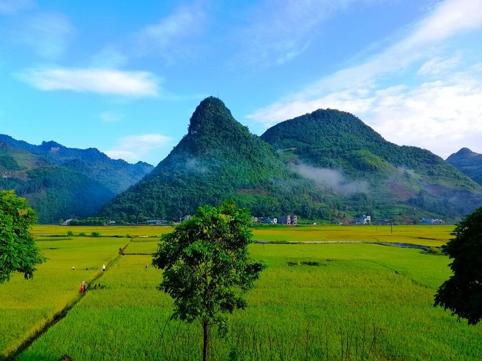 Co Tien Mountain Bac Ha is one of the most beautiful Co Tien mountains in Vietnam