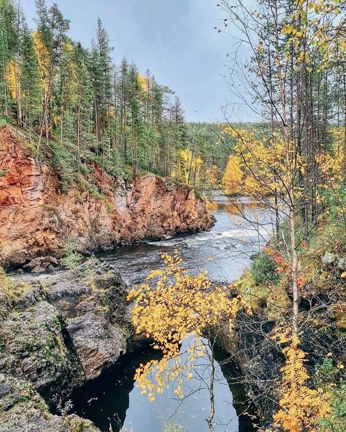 Sắc vàng của lá mùa thu ngập tràn cảnh quan - Du lịch Kuusamo
