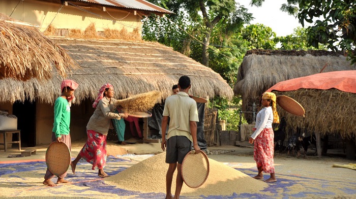 Thăm làng Tharu ở vườn quốc gia Chitwan 