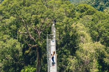 Đến công viên quốc gia Ulu Temburong thám hiểm khu rừng nhiệt đới hoang sơ của Brunei