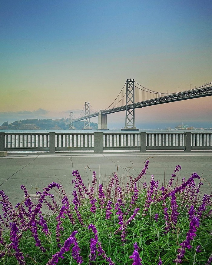 Cầu qua vịnh San Francisco – Oakland là một trong những cây cầu vượt biển dài nhất thế giới sở hữu thiết kế ấn tượng