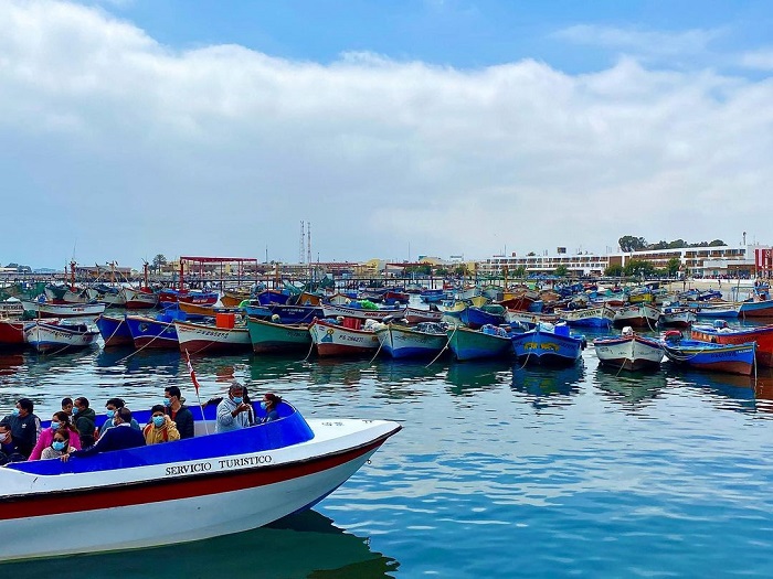 Di chuyển đến quần đảo Ballestas Peru