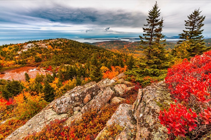 Ngắm sắc màu mùa thu ở Vườn quốc gia Acadia - địa điểm ngắm lá mua thu ở New England
