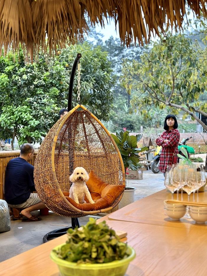 Lưu ý khi đến Homestay Vườn An nhiên Mộc Châu