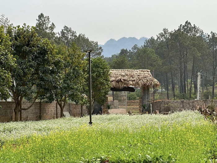 Homestay Vườn An nhiên Mộc Châu nằm khá gần trung tâm