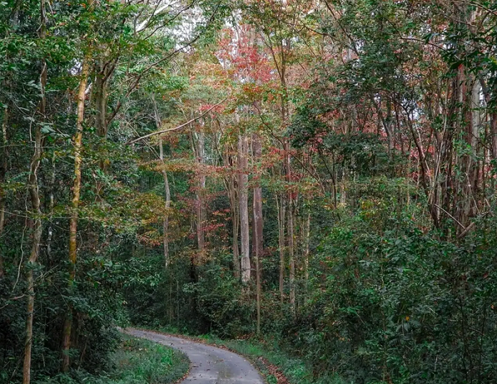 khu du lịch ở Đồng Phú - Khu du lịch vườn quốc gia Cát Tiên